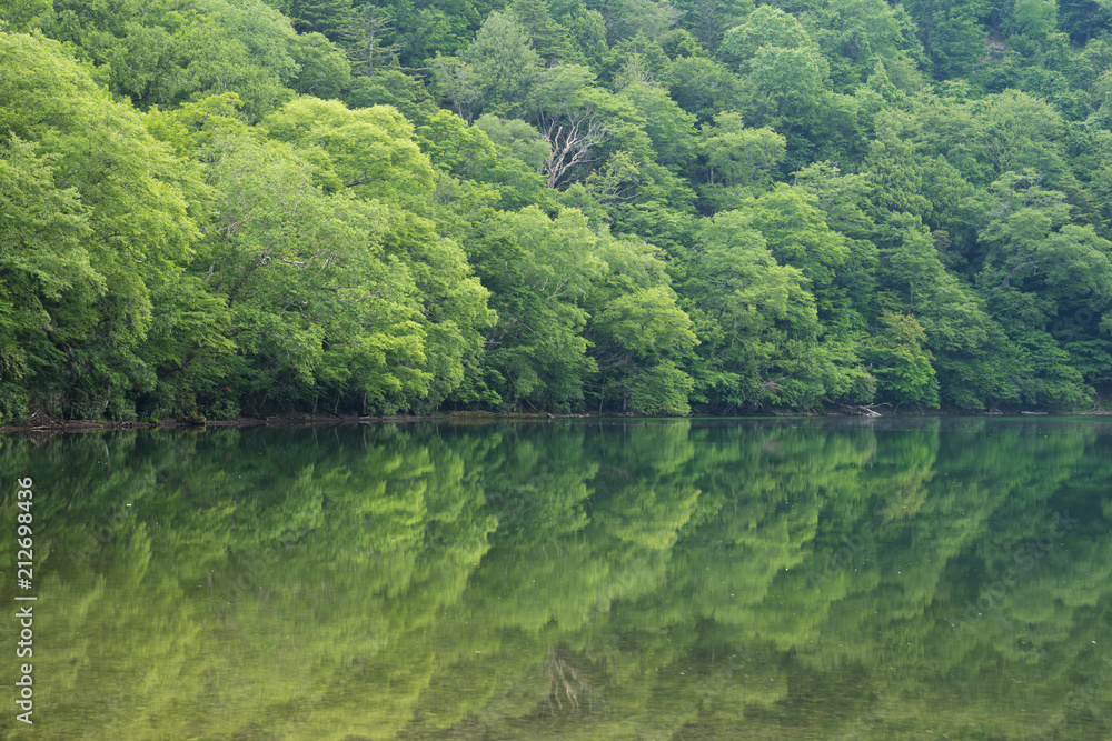 View of Lake Yunoko in summer season, Nikko, Tochigi,Japan View of Lake Yunoko in summer season, Nikko, Tochigi,Japan