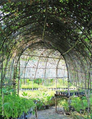 Tunnel archway in the garden.