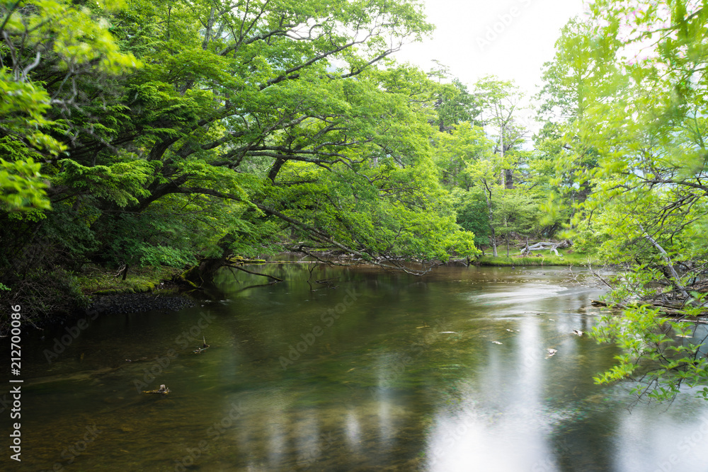 View of Lake Yunoko in summer season, Nikko, Tochigi,Japan