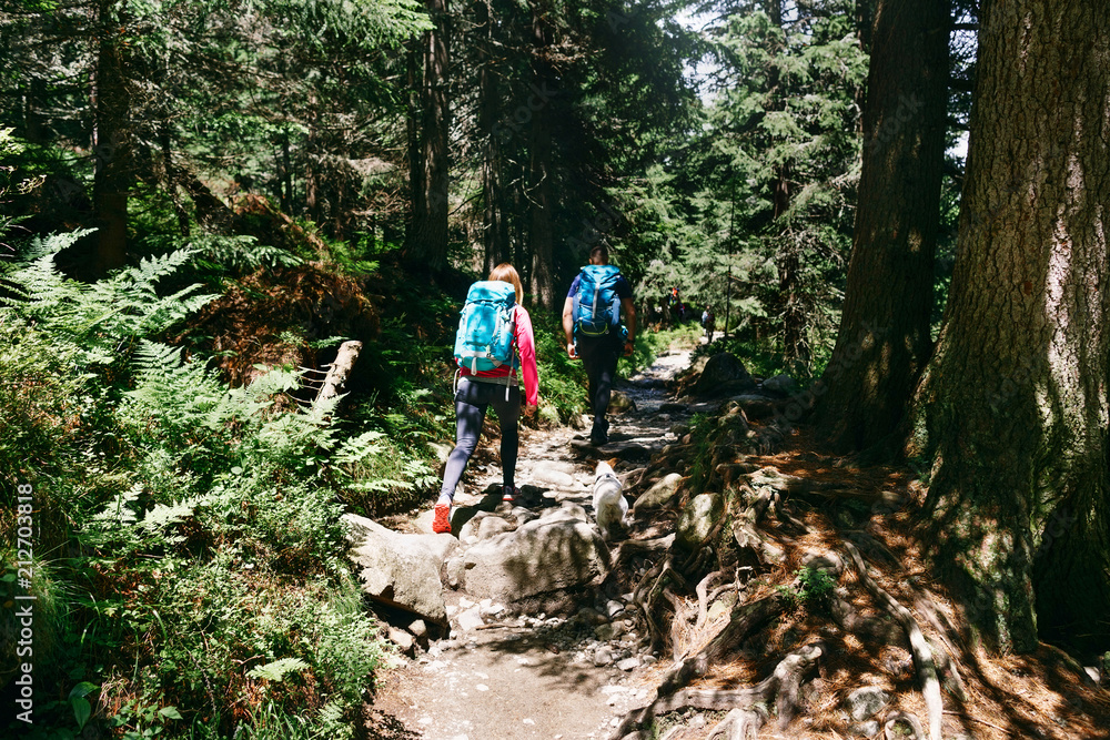 Couple travelers backpack little dog walking dense forest Travel backpacking lifestyle Couple travelers backpack little dog walking dense forest Travel backpacking lifestyle
