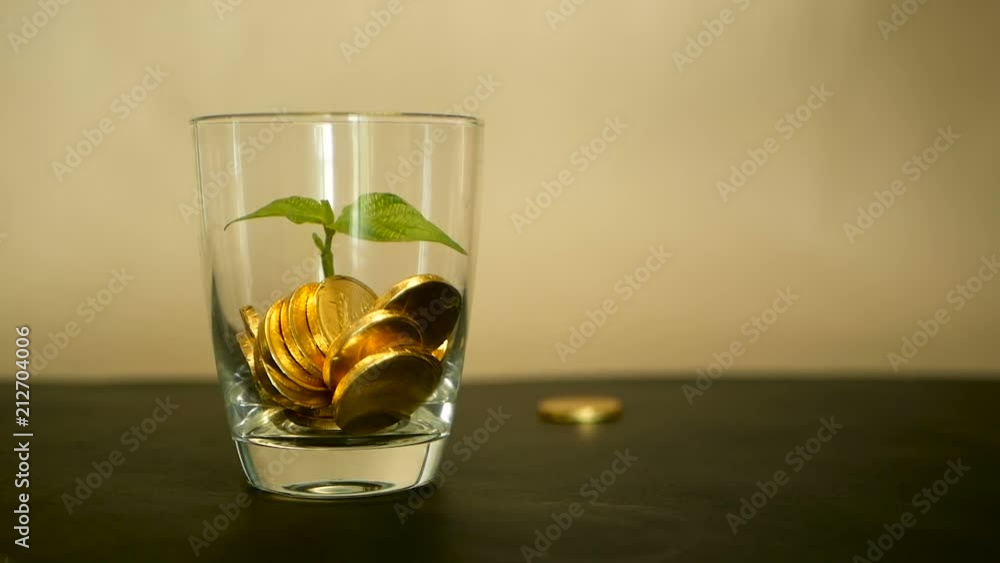 Management efficiency. Golden coins in glass and green leaf of sprout on black background. Success of finance business, investment, financial ideas. Rotating, twisting, swirling, spinning penny. Management efficiency. Golden coins in glass and green leaf of sprout on black background. Success of finance business, investment, financial ideas. Rotating, twisting, swirling, spinning penny.