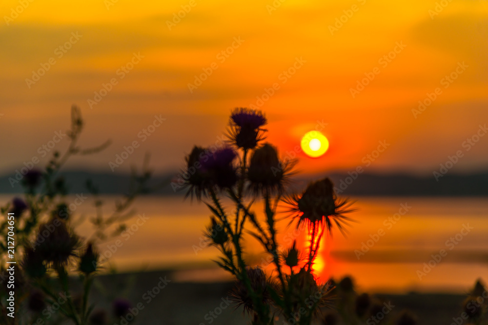 Sunset at the sea