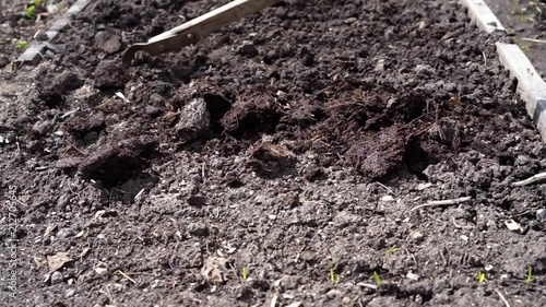 loosen the dry soil with a hoe