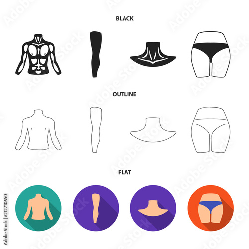 Torso, leg, neck and buttocks. Body parts set collection icons in black,flat,outline style vector symbol stock illustration web.