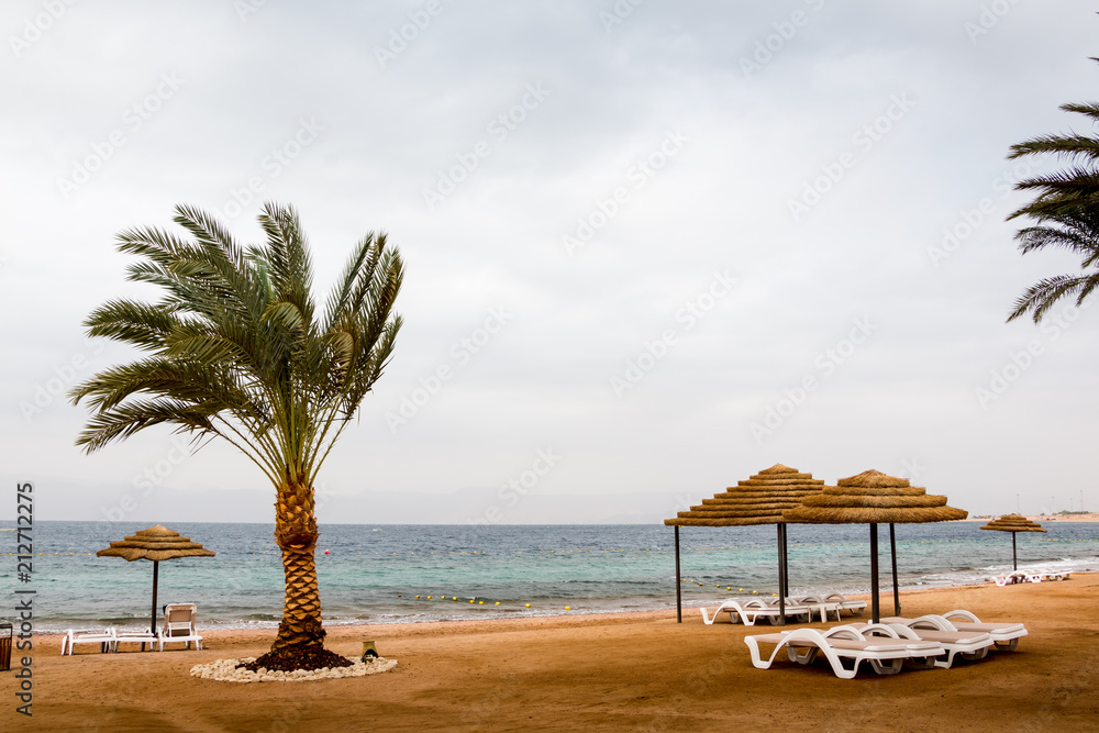 Beach with palms and umbrellas in a Windy and cloudy day