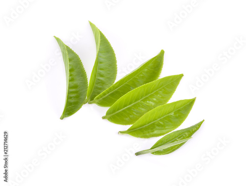 green tea leaf on white background