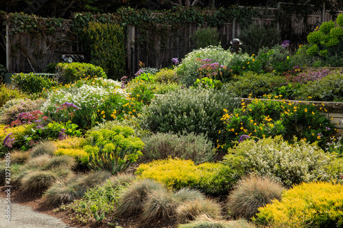 A varied palette of planting at a home in California showcasing layout and design ideas for multiple plants.