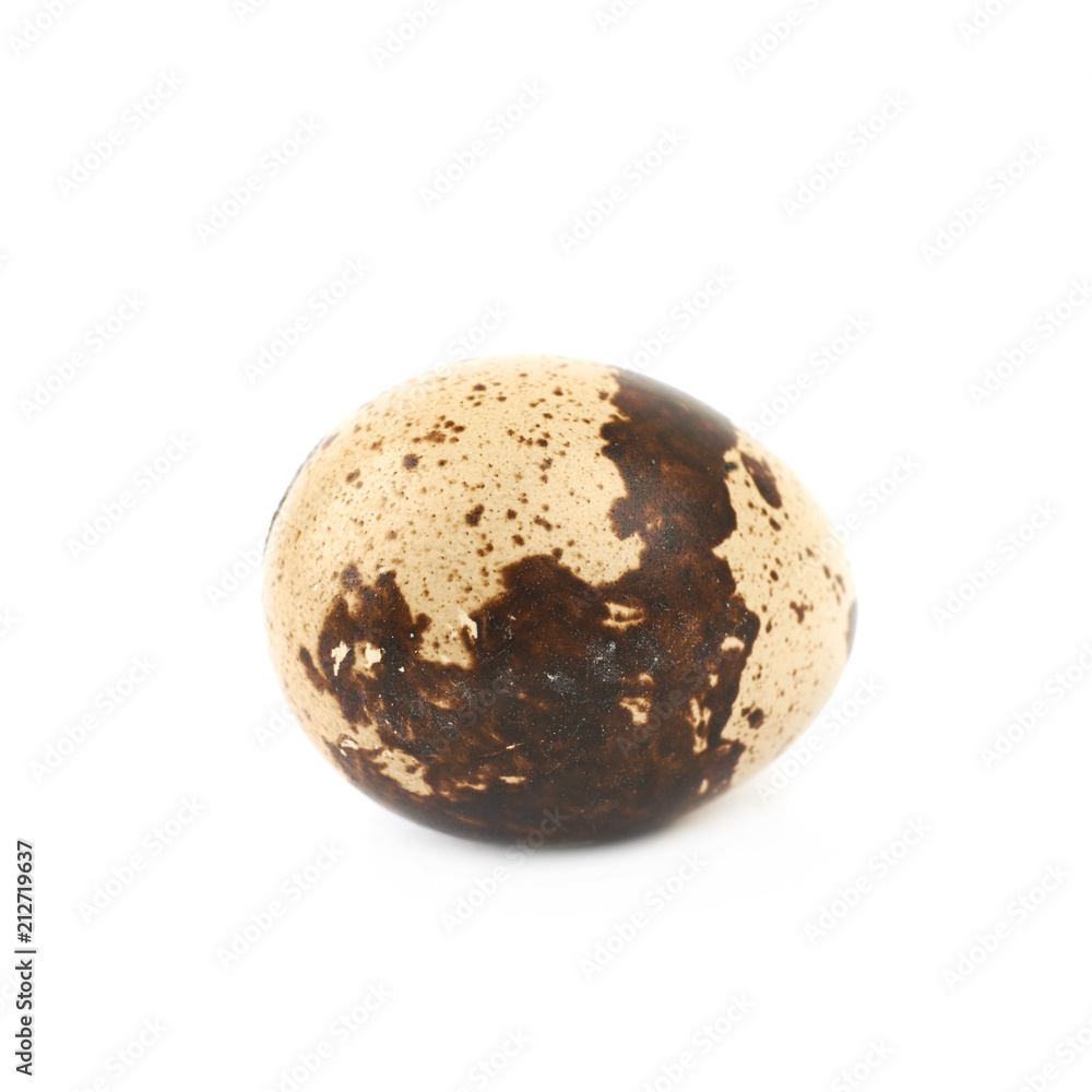 Quail egg composition isolated Quail egg composition isolated