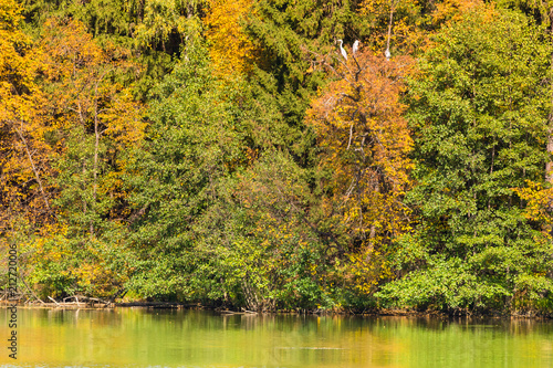 Fototapeta Naklejka Na Ścianę i Meble -  Autumn landscape reflected in the lake. Toned