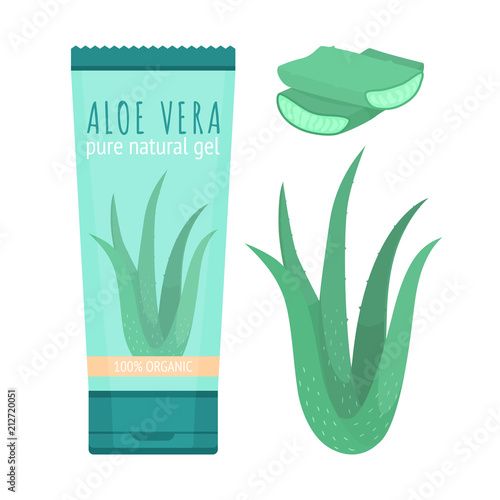 Aloe Vera pure natural gel, slices and plant