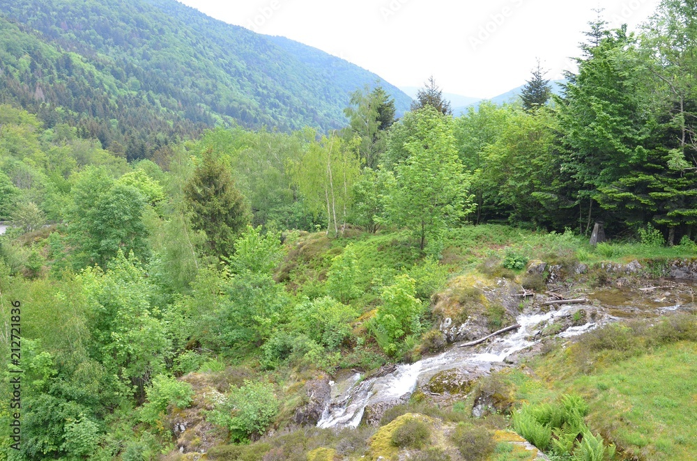 Fototapeta premium Vallée et torrent sous le barrage d'Alfeld, ballon d'Alsace, France