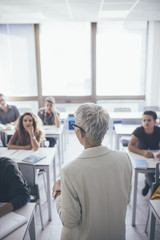 Teacher Teaching a Lesson