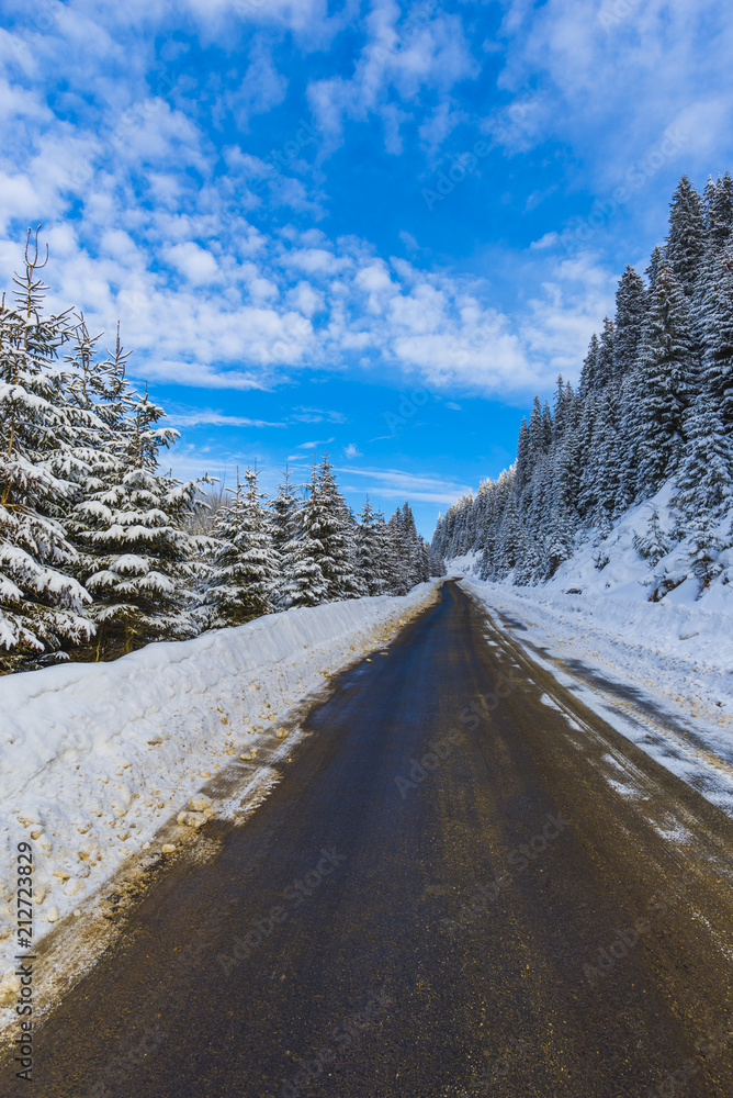 Obraz premium Winter road