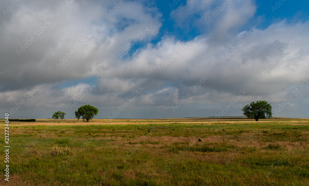 Trees on the Vast Open Prairie Trees on the Vast Open Prairie