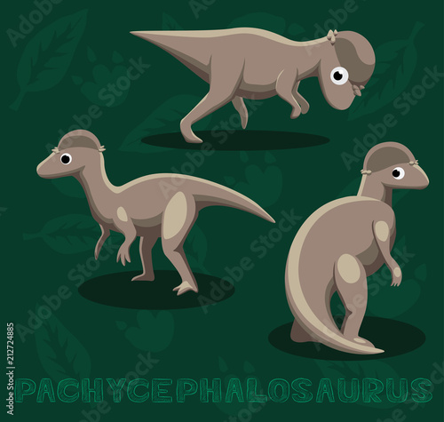 Dinosaur Pachycephalosaurus Cartoon Vector Illustration