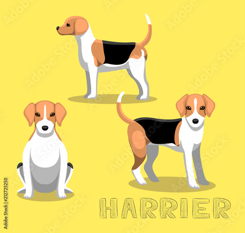 Dog Harrier Cartoon Vector Illustration