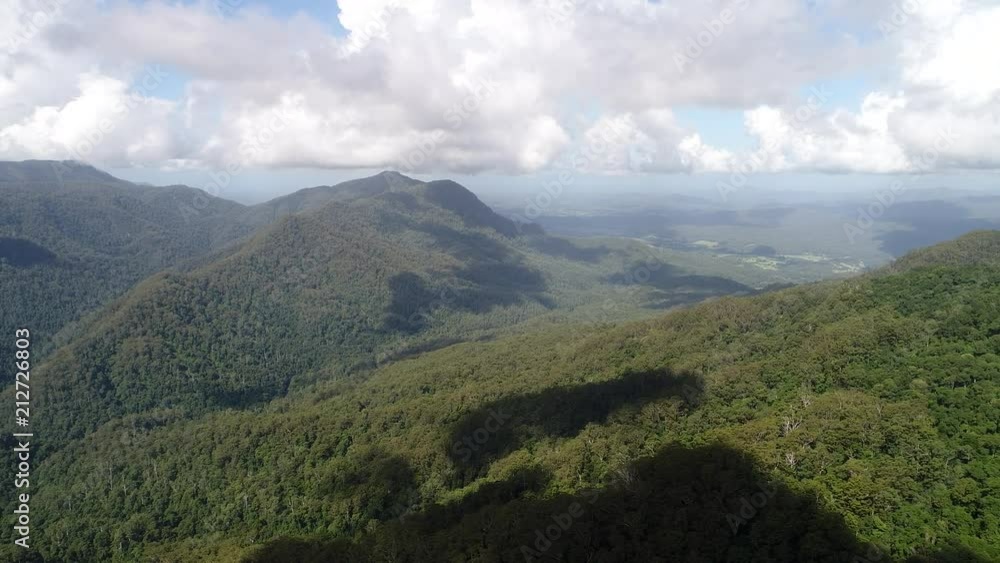 Ancient Gondwana rainforest in Dorrigo National park around mountain valley covered by evergreen gum-trees on a sunny day.
Ancient Gondwana rainforest in Dorrigo National park around mountain valley covered by evergreen gum-trees on a sunny day.