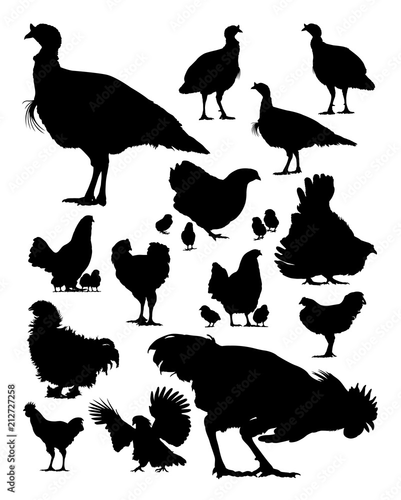 Fotografie Turkey and chicken silhouette