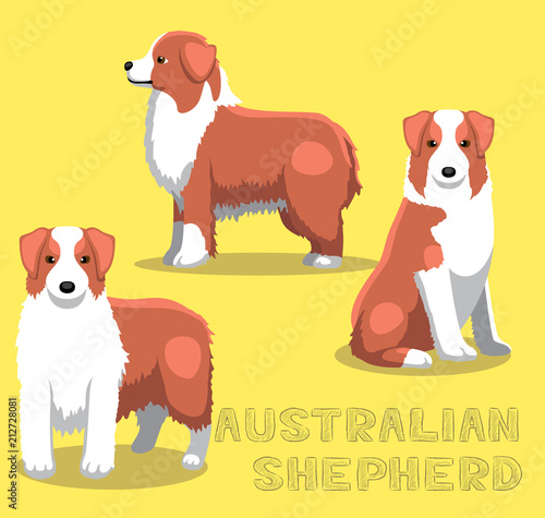 Dog Australian Shepherd Cartoon Vector Illustration