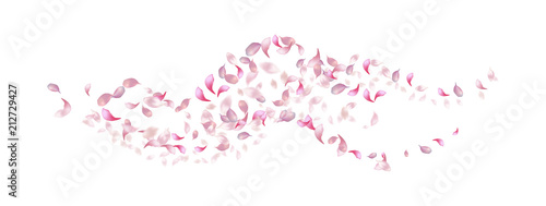 Petals Flying Background