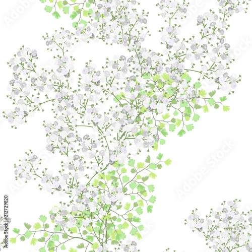 Seamless watercolor pattern with gypsofila flowers on white background. photo