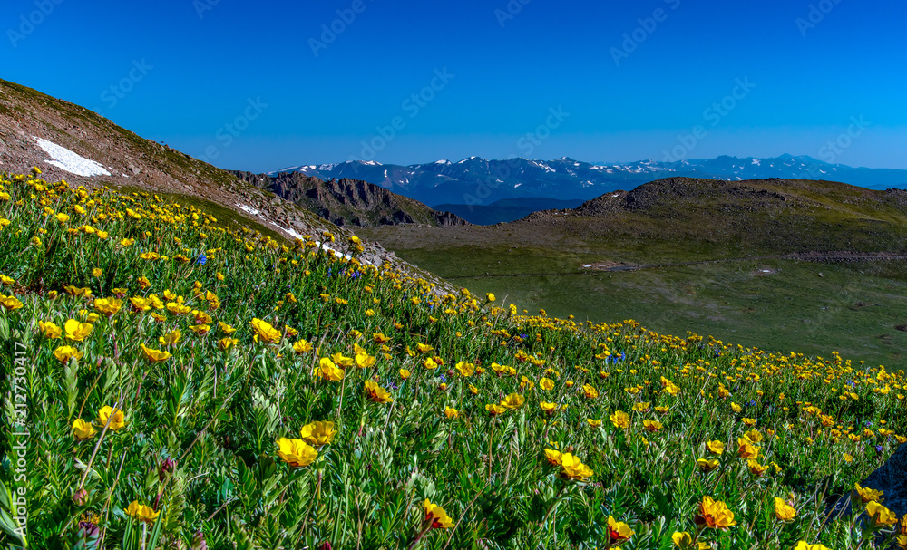 Colorado Mountains in Spring