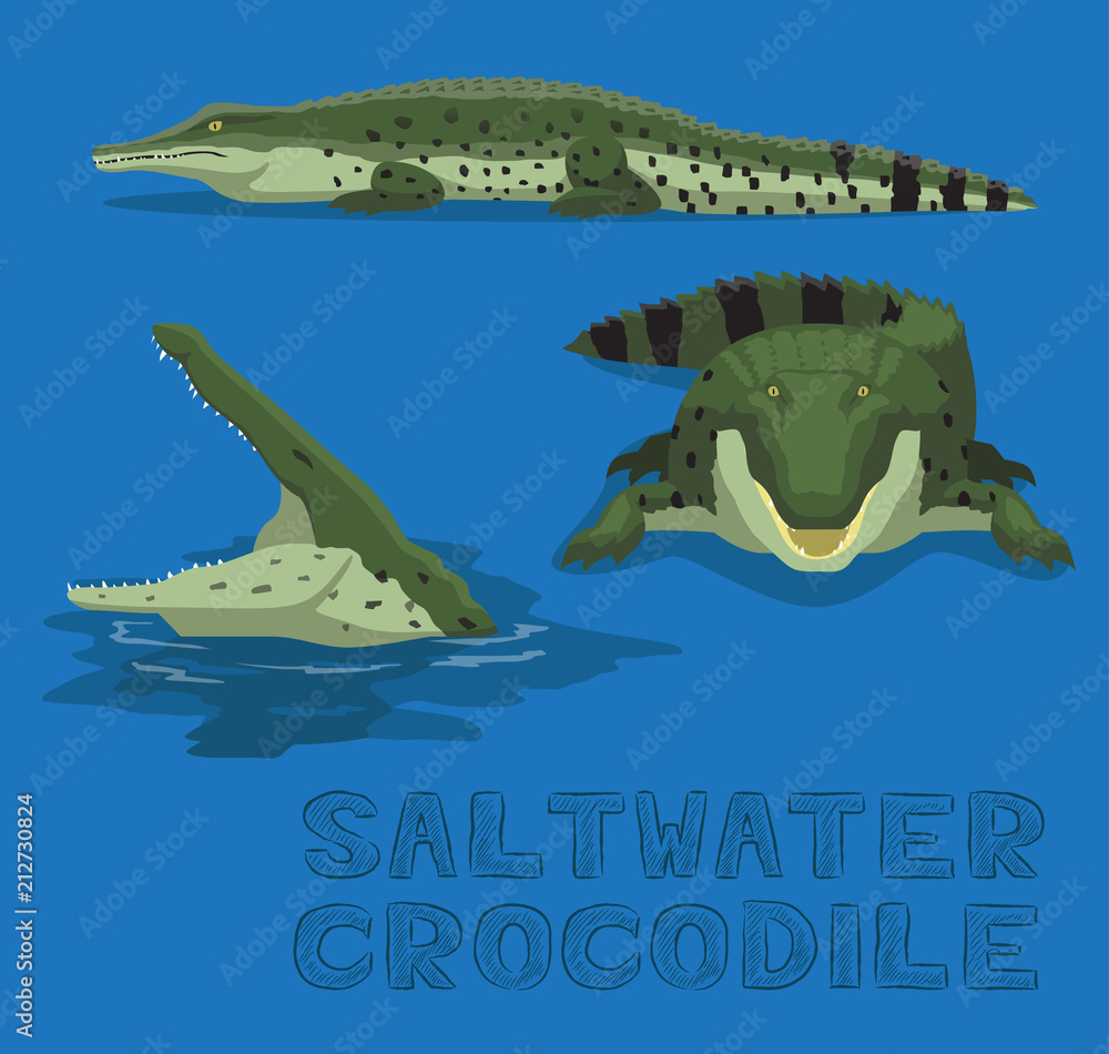 Fototapeta premium Saltwater Crocodile Cartoon Vector Illustration