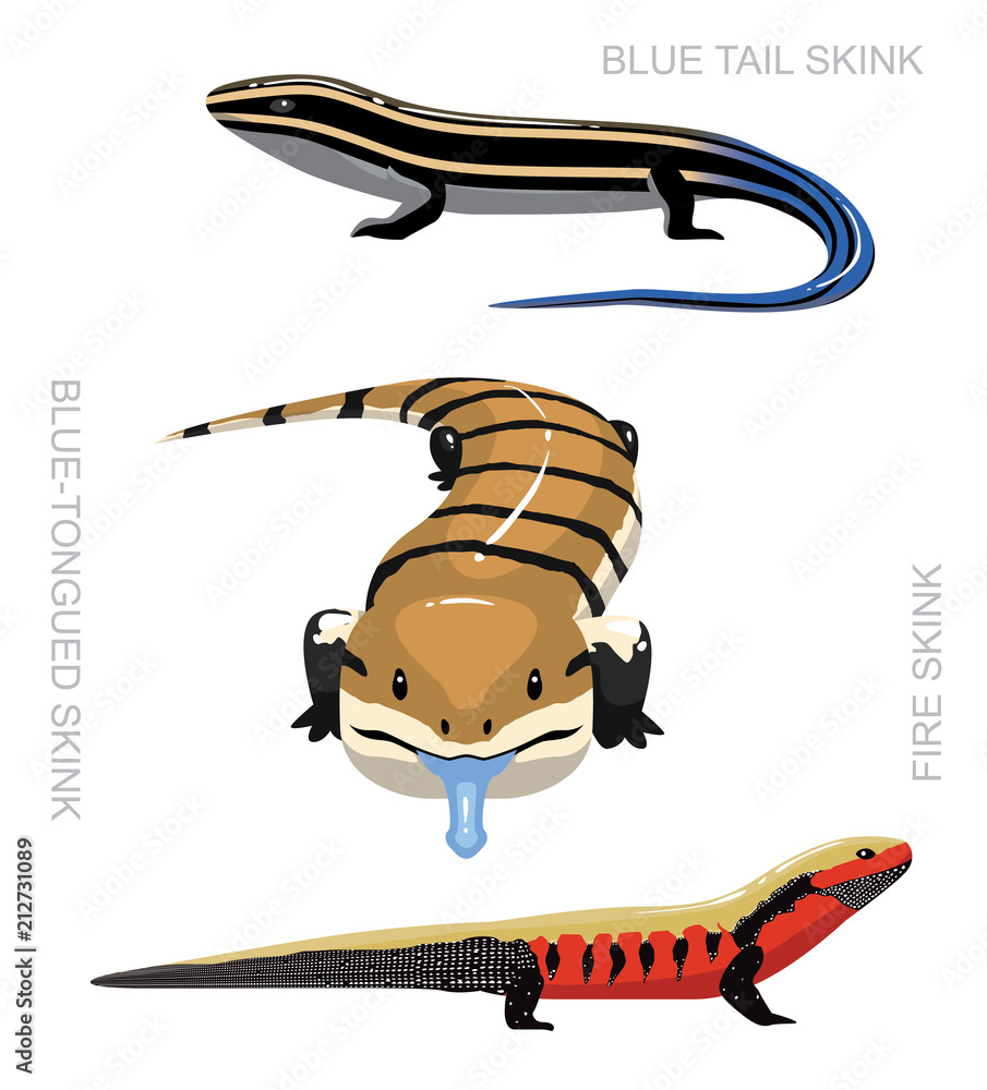 Fototapeta premium Jaszczurka Skink zestaw ilustracji wektorowych kreskówki