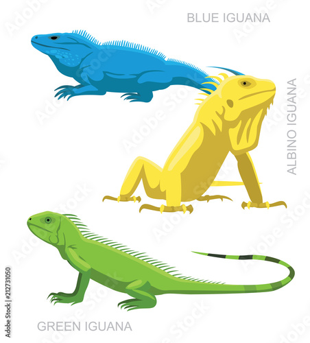 Lizard Iguana Set Cartoon Vector Illustration