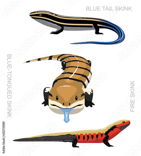 Lizard Skink Set Cartoon Vector Illustration