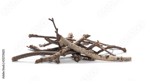 Dry branches isolated on white background