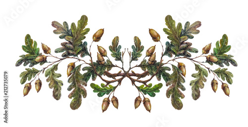Fototapeta Watercolor oak branch decoration