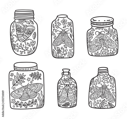 Hand drawn floral jar with moth and butterfly. Ink vector illustration