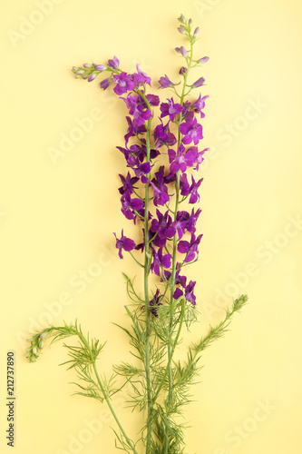 bouquet of purple bellflowers