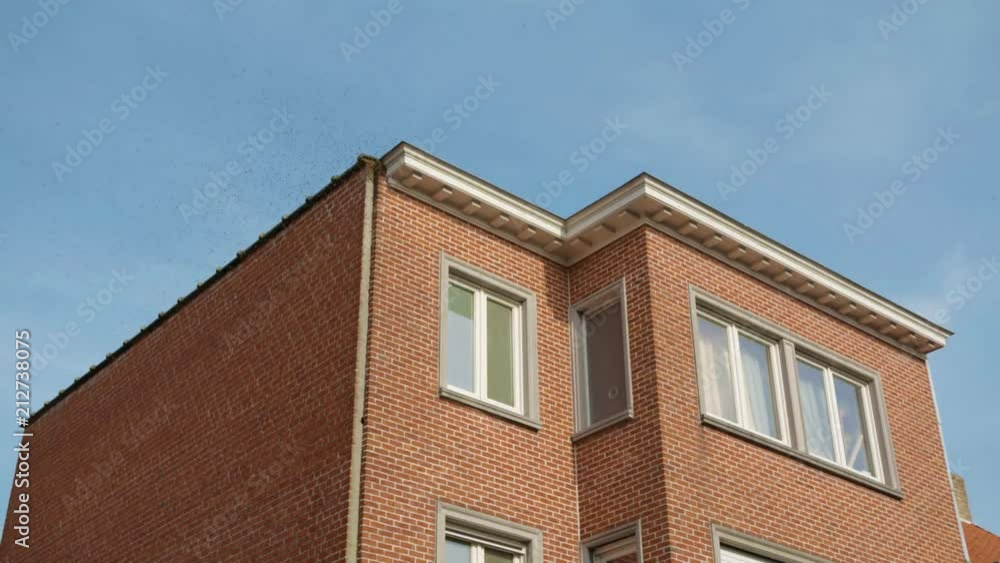 House with honey bees in gutter roof House with honey bees in gutter roof