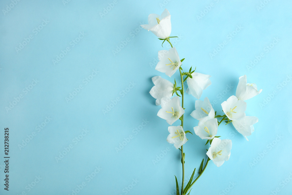 white flowers bells white flowers bells