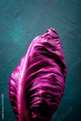 rotkohl detail photo