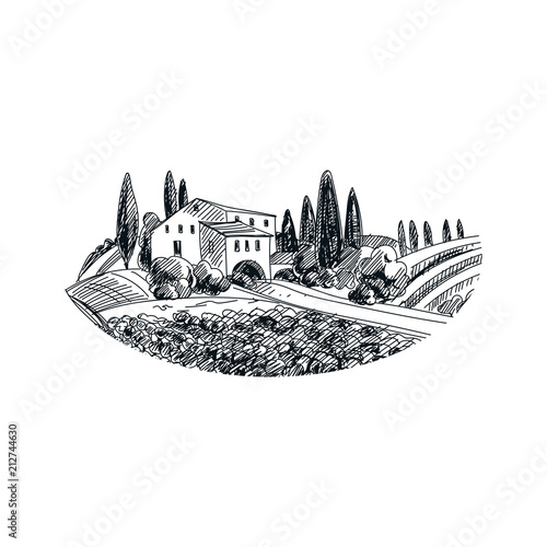 vector hand drawn vineyard
 Illustration