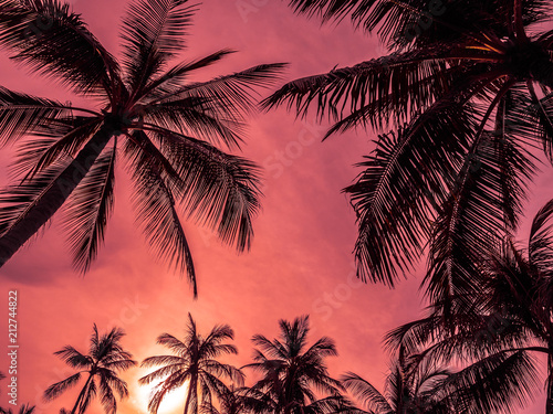 Beautiful tropical coconut palm tree on blue sky