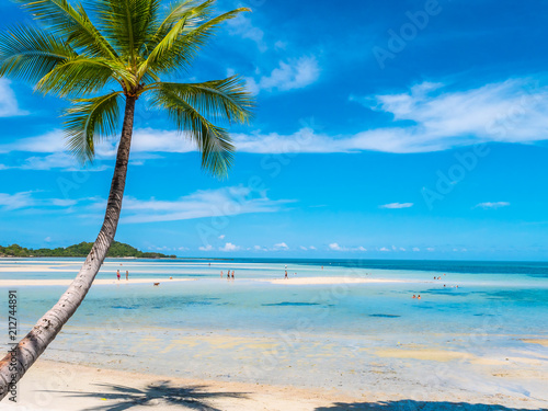 Fototapeta Naklejka Na Ścianę i Meble -  Beautiful tropical beach and sea with coconut palm tree
