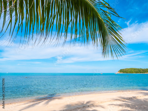 Fototapeta Naklejka Na Ścianę i Meble -  Beautiful tropical beach and sea with coconut palm tree