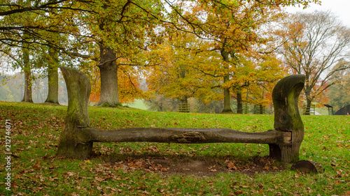 Lonely park bench in park with trees full of Autumn leaves photo