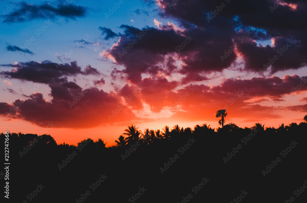 Fototapeta premium Beautiful sunset in the countryside