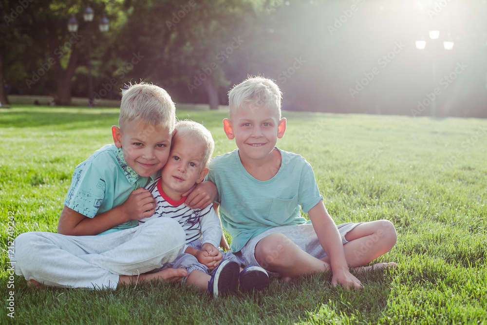 Fototapeta premium The three brothers are resting on the Meadow 