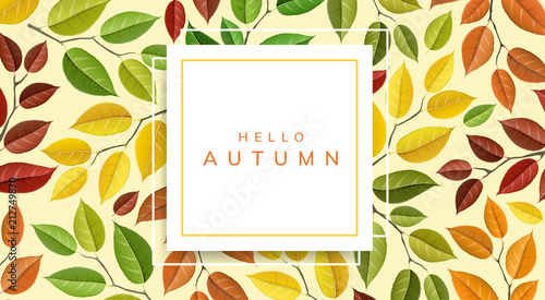 Autumn leaf pattern with geometric frame. Vector illustration with colors of fall  for nature related design and background  horizontal banner