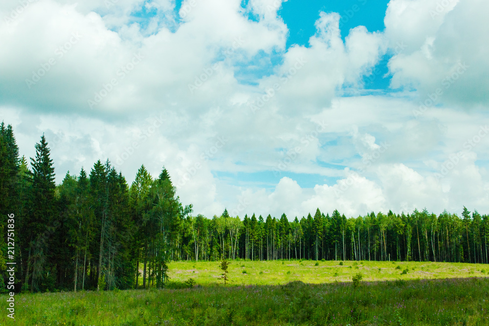 Green meadow under blue sky with clouds and forest in distance. Beautiful landscape image. Background picture for different purposes