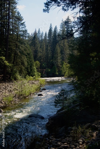 path woods water mountain