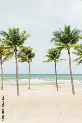 Palm trees natural background. blue sky and tropical plants
