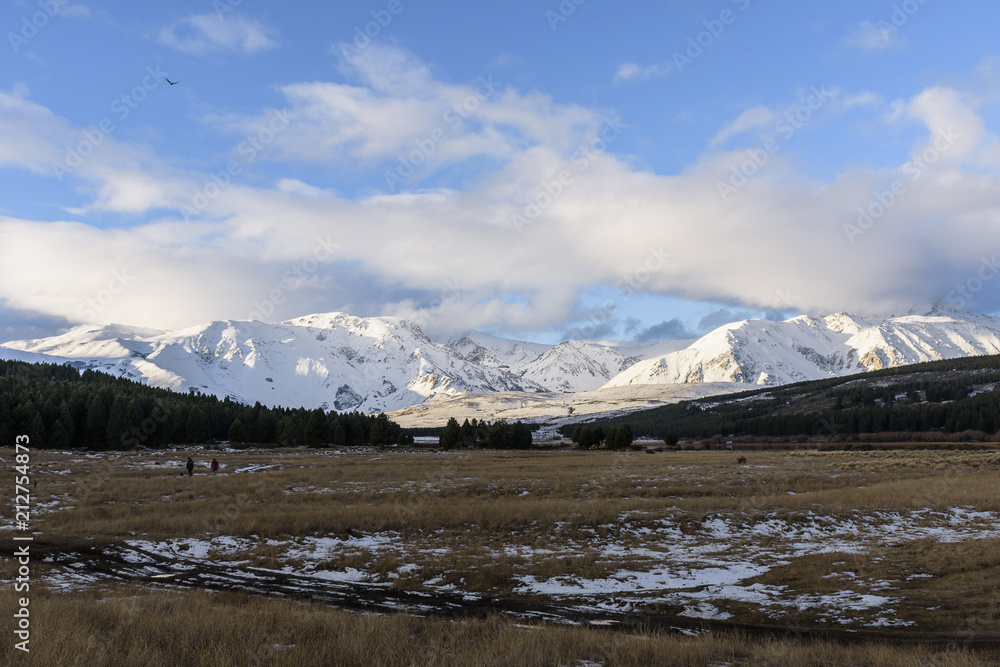 Winter landscape. - Patagonia, Argentina