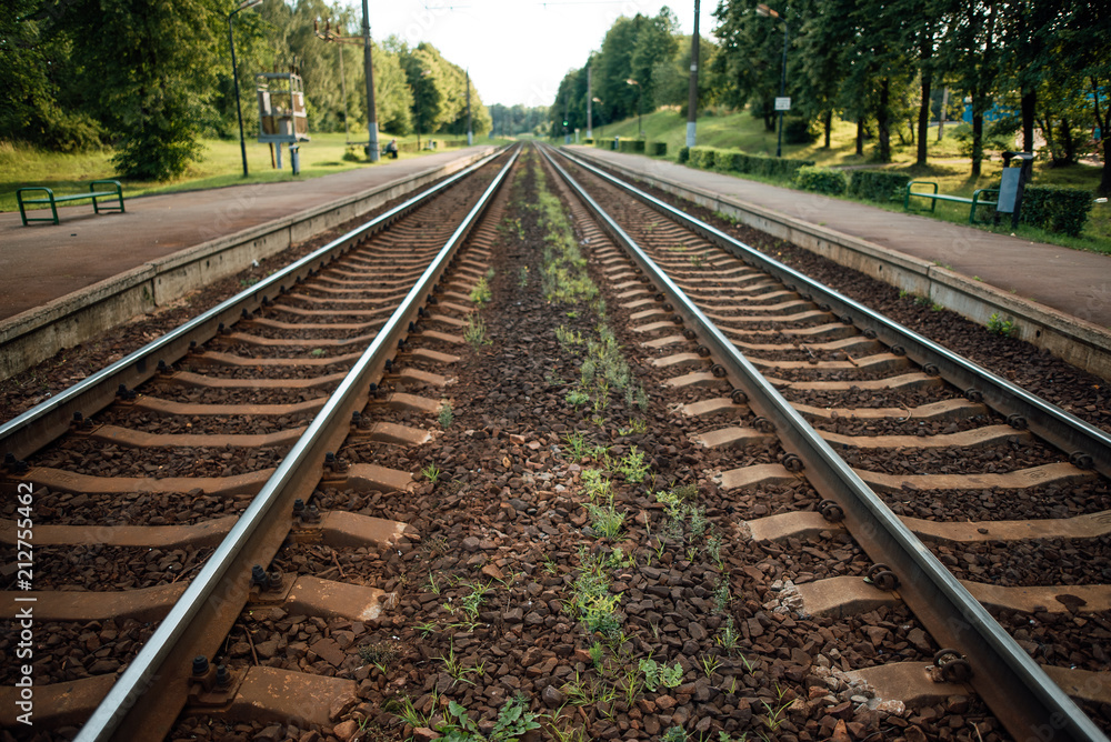 Train rails in country landscape